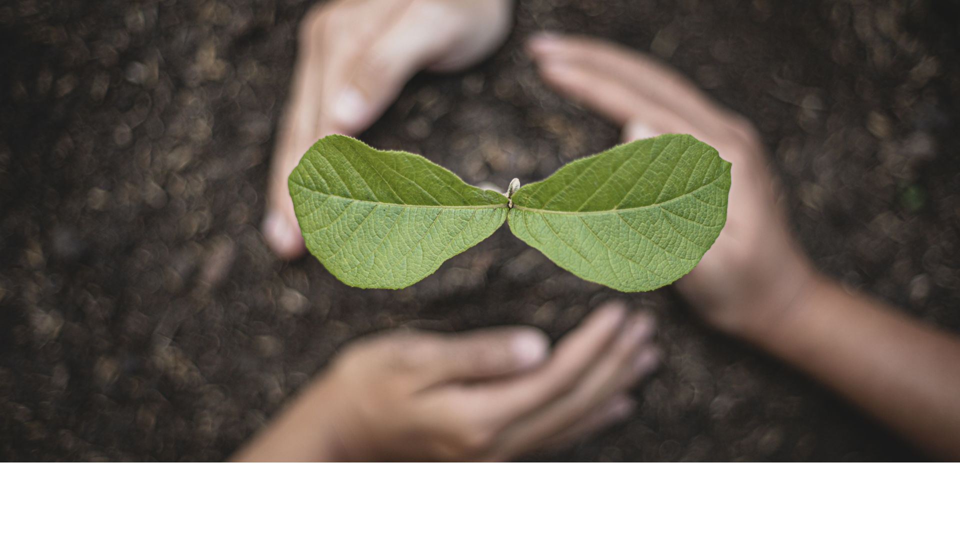 ILNAMO növényi hajfestés vegyszermentesen